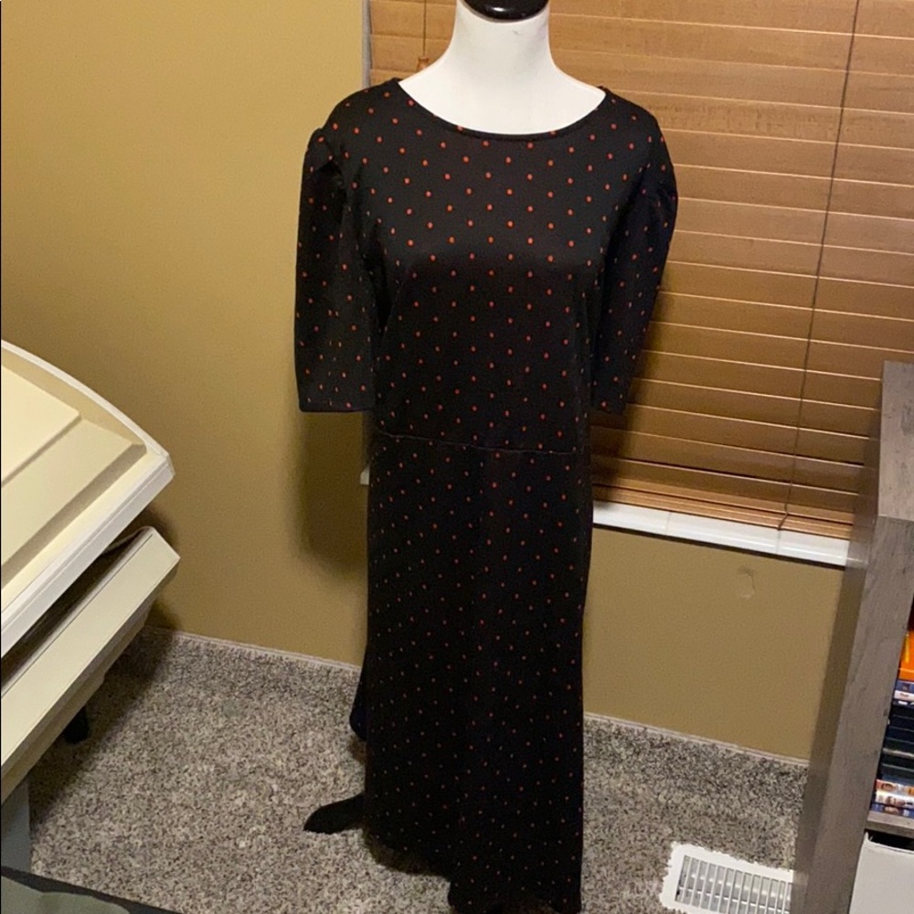 Who What Wear Dress Size 2X